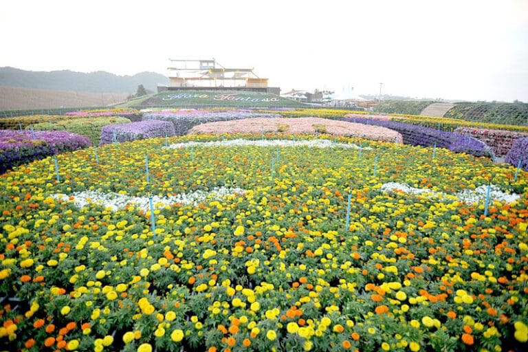 Gartenschau Flora Fantasia