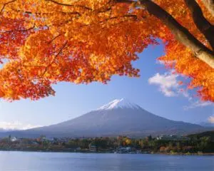 Mit Windrose nach Japan