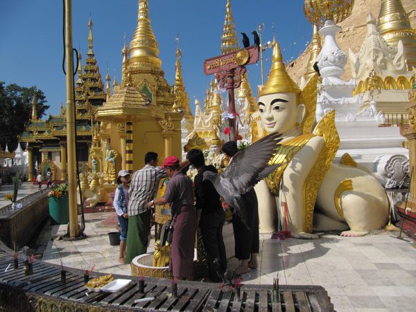 Buddhas Zauberland
