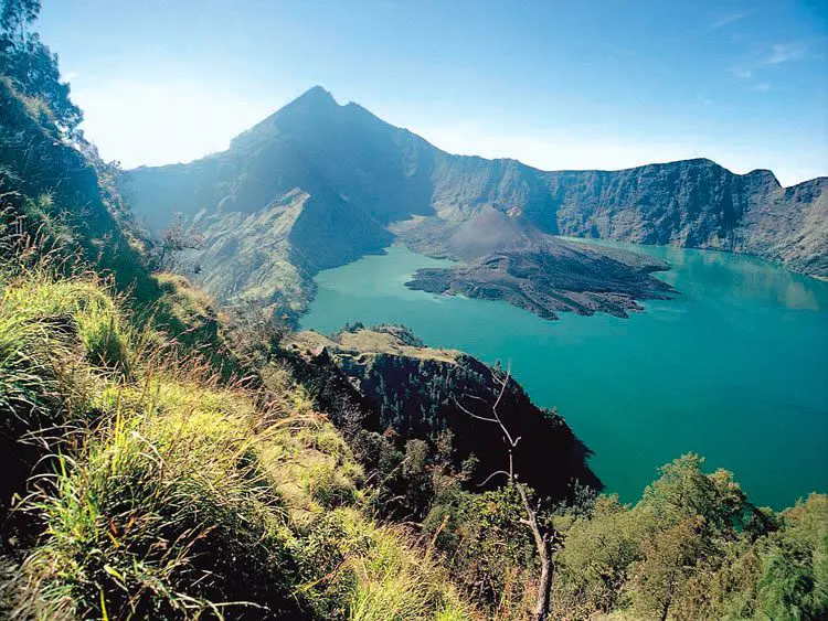 lotus-lombok