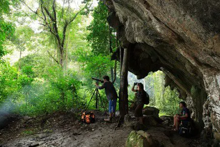 Natur in Thaiand