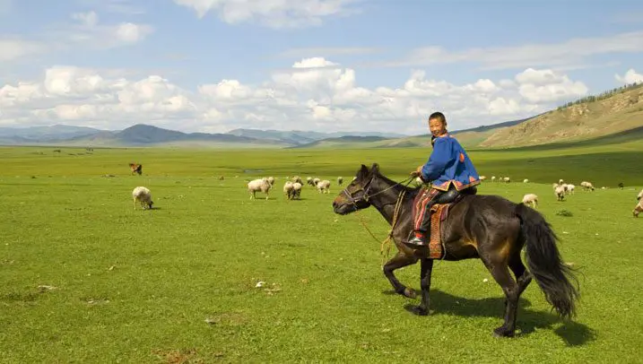 Reiter in der Mongolei