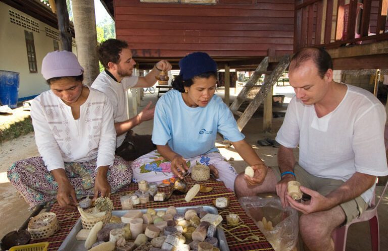 Thailand mit Buffalo Tours