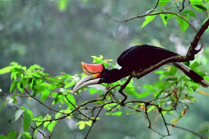 Malaysia