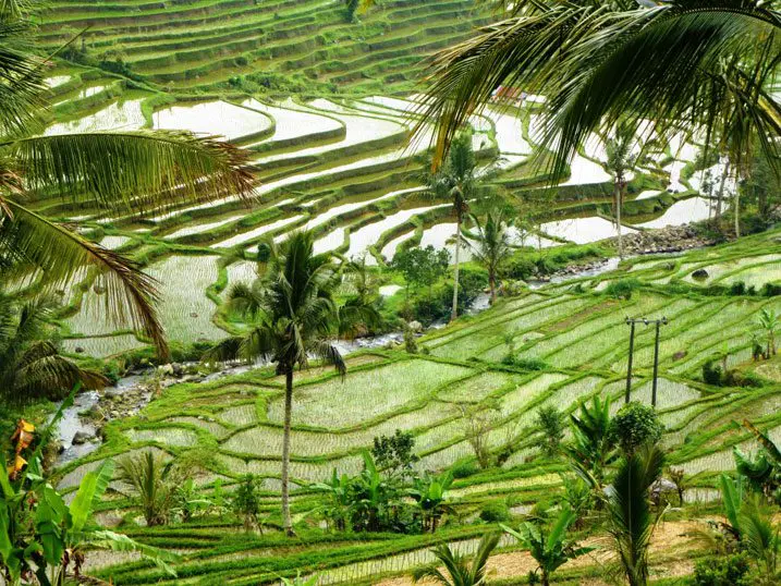 East-Asia-Tours_1