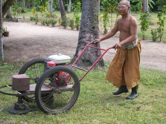 Thai-Rasenpflege-von-Jan-W
