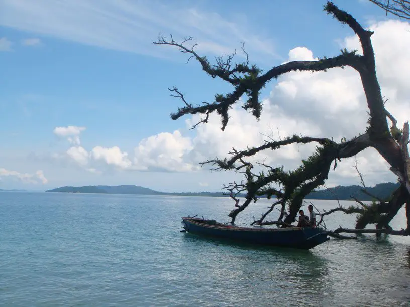 Traumstrand der Andamanen mit Palmen und türkisblauem Wasser