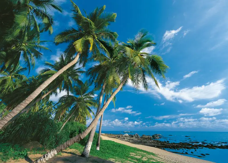 Hainan-6