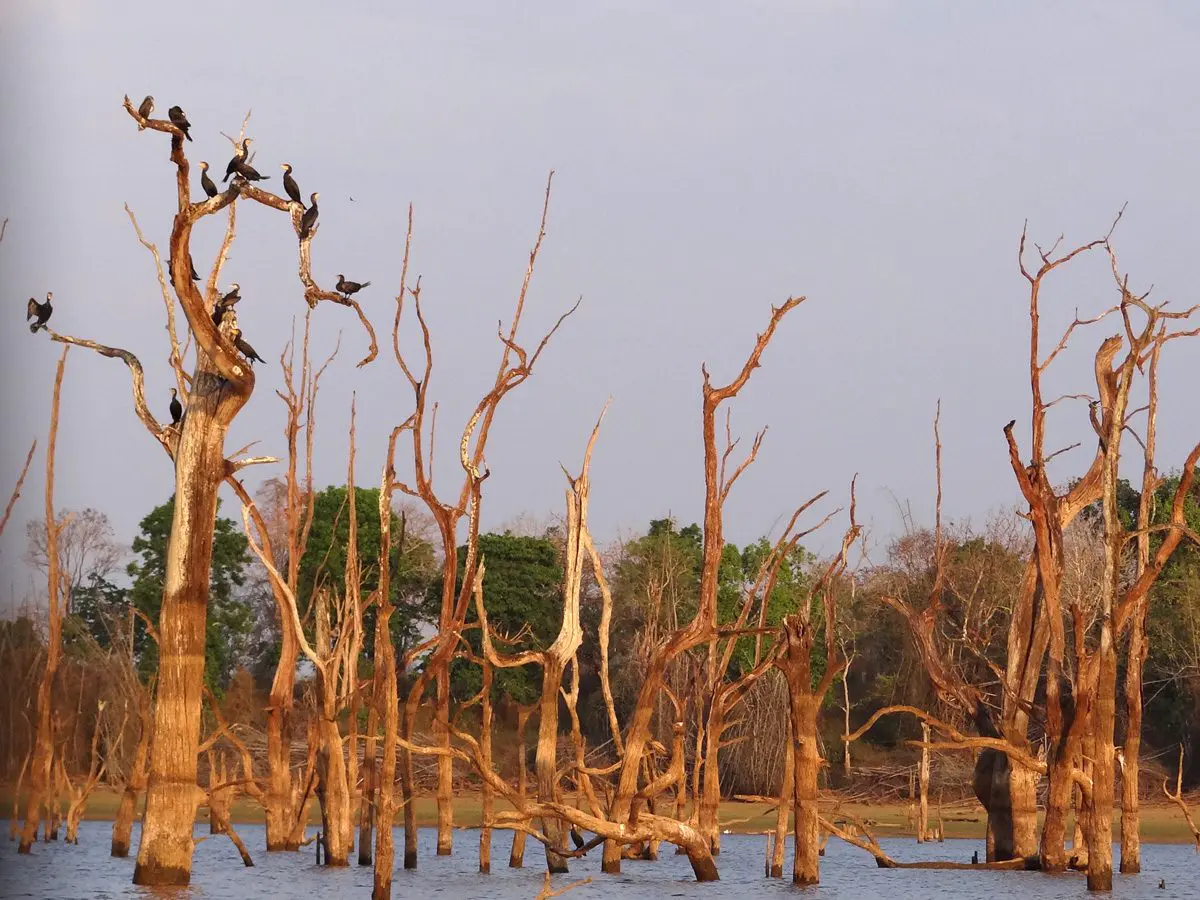 Nagarhole-Nationalpark