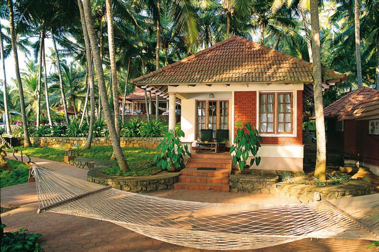 lotus-travel-serivce-1