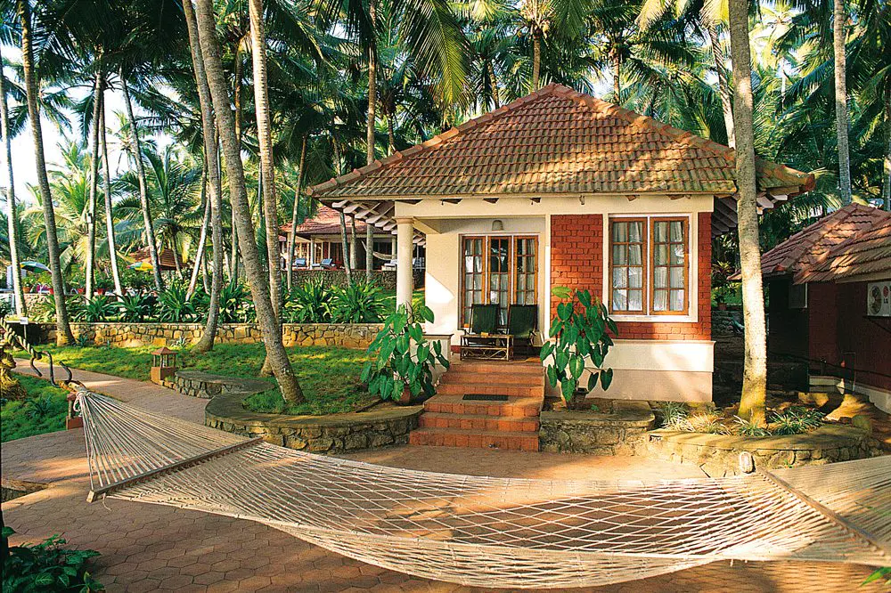 lotus-travel-serivce-1