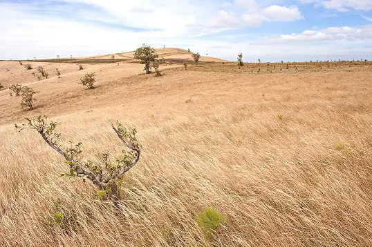 Antares-Mondulkiri