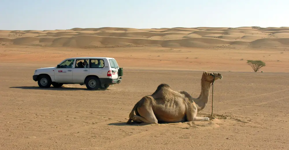 East Asia Tours Kamel Wahiba-Sands-1