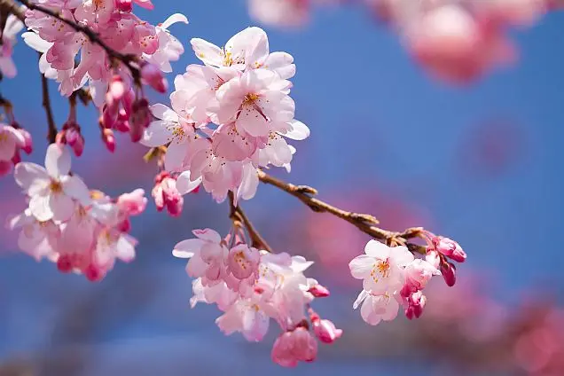 Asien Special Tours-1