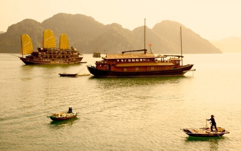 Exotic Voyages anzeigebild