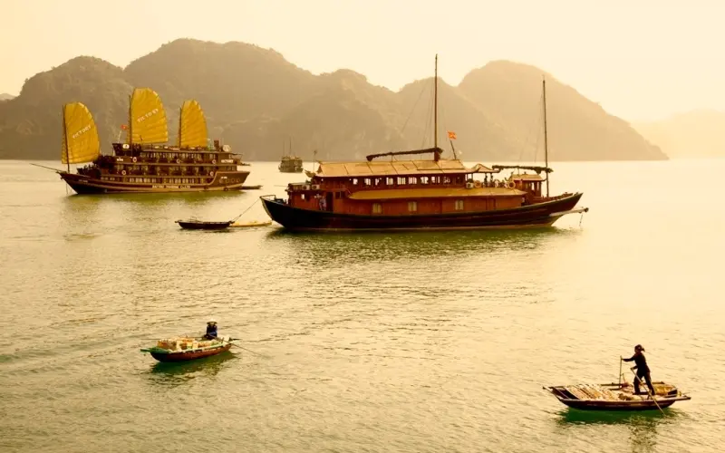 Exotic Voyages anzeigebild