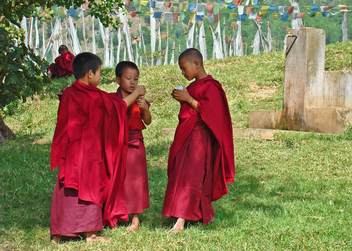 eat-wangdue-novizen-2