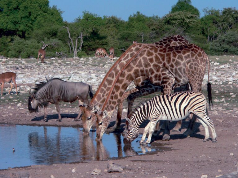 geoplan-etosha-nationalpark