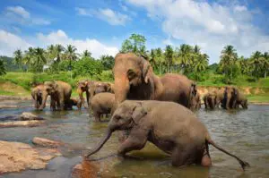 indochina-travels-titelbild-vietnam