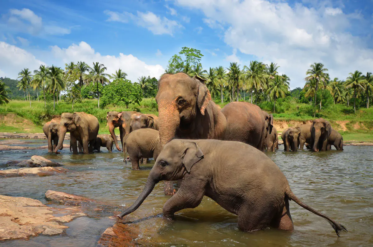 indochina-travels-titelbild-vietnam
