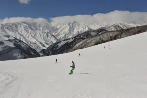 Tischler Reisen 1