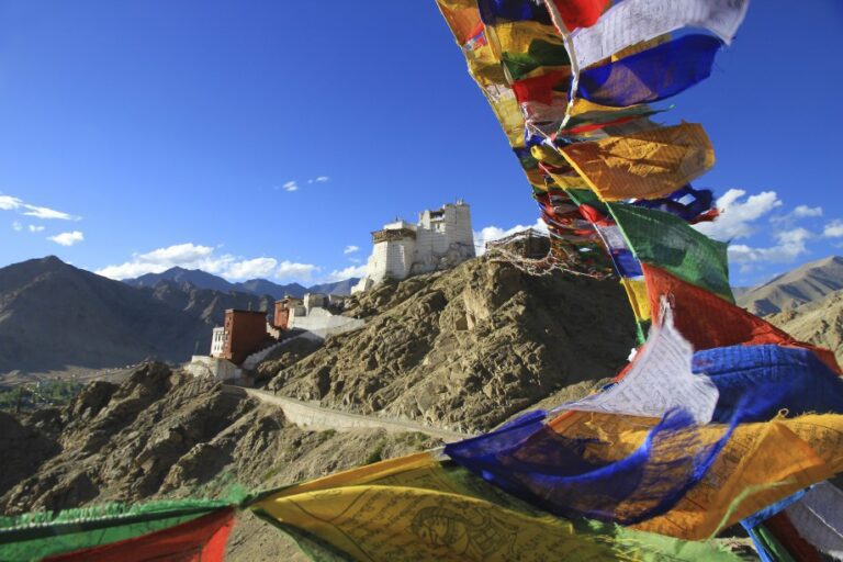 IND Ladakh 2013 1MWA Festung Leh 0242