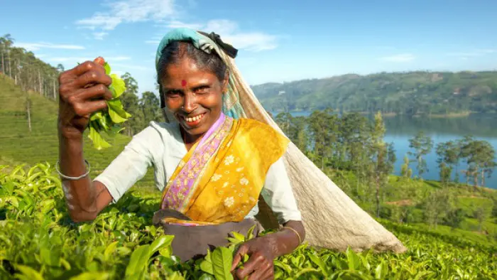 ID1 TITELBILD teepflueckerin-nuwara-eliya-2016ss-web