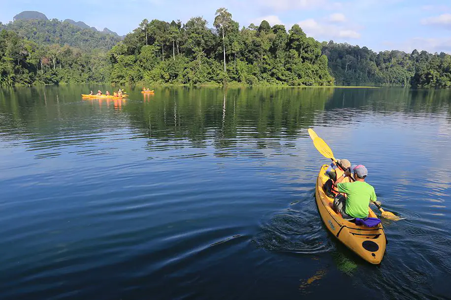 T3 Rainforest-Camp-08