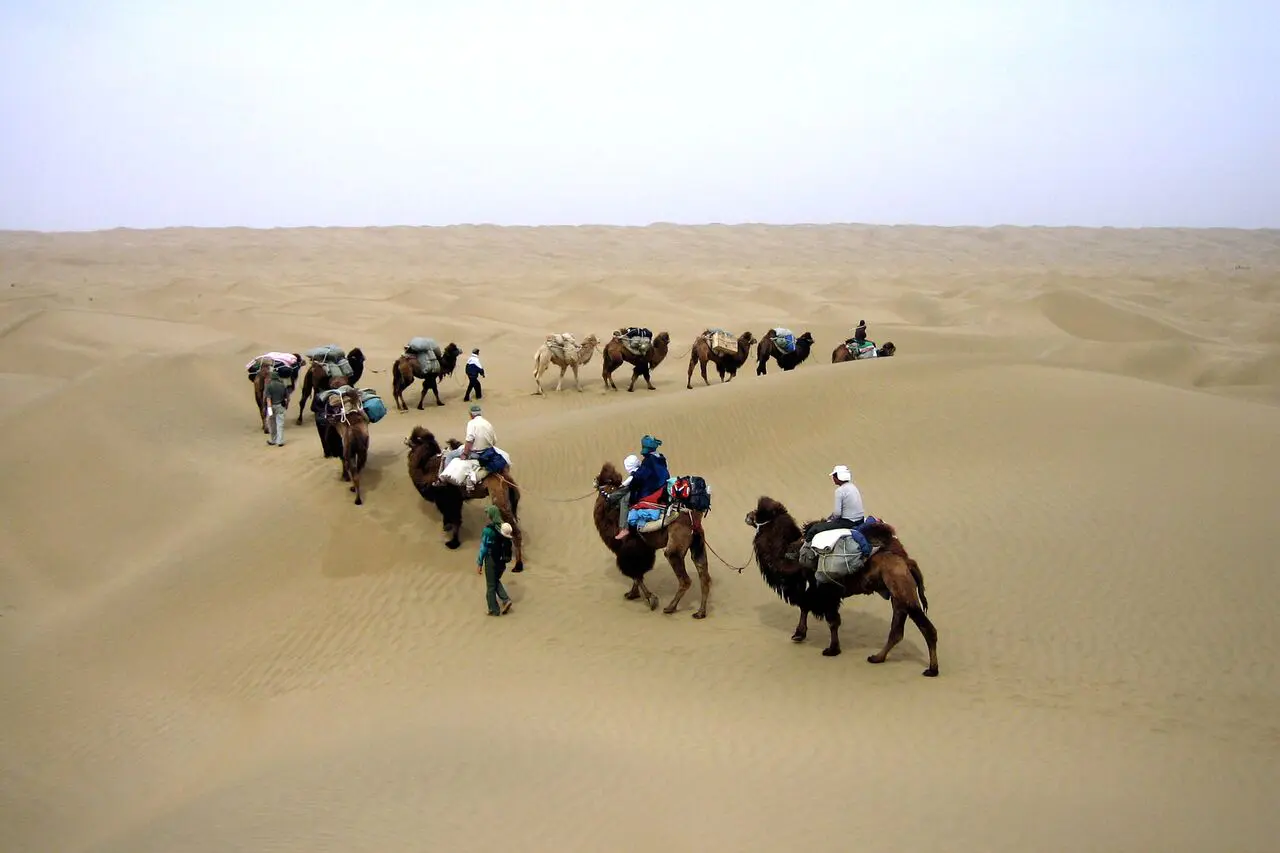 unspecified nomad