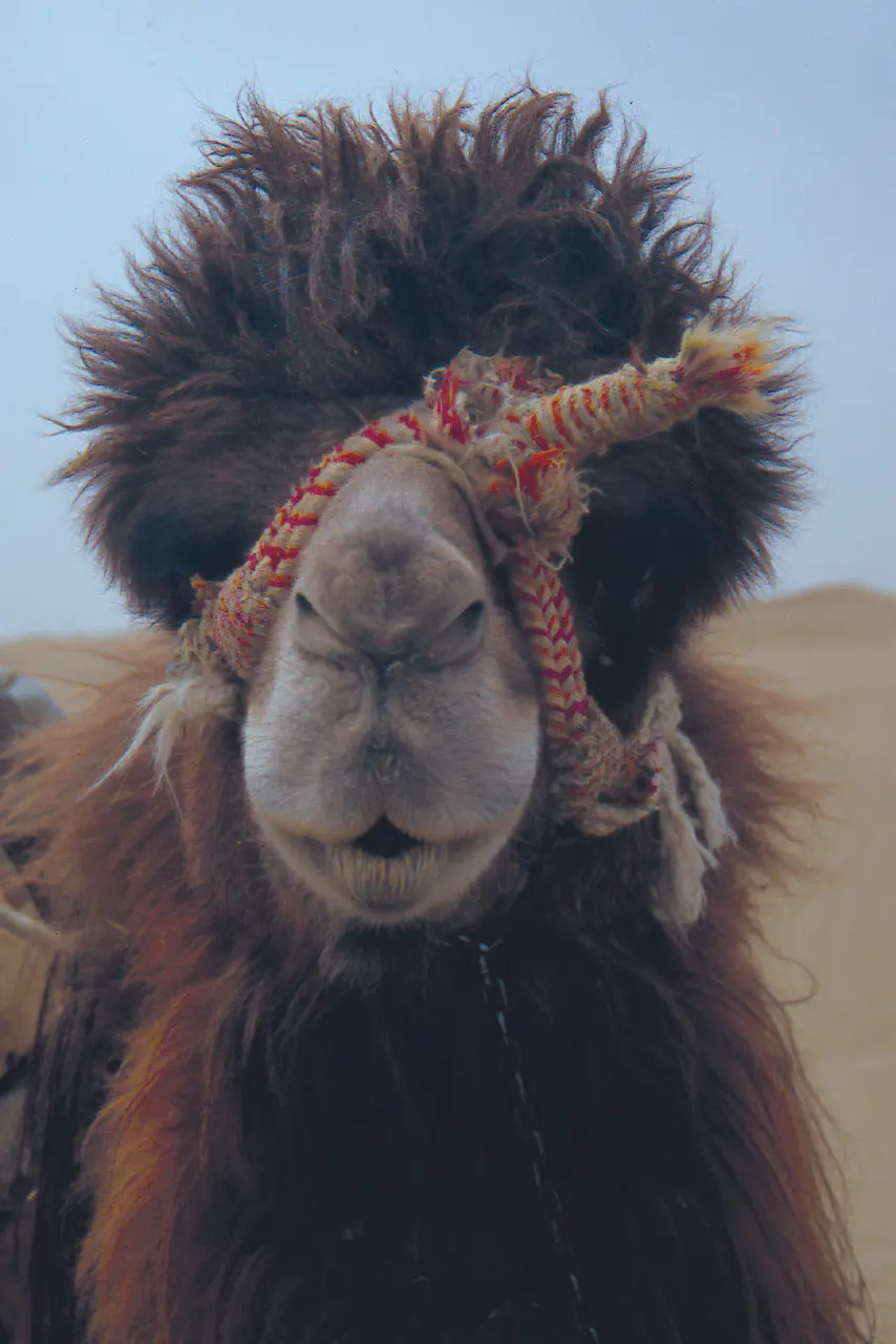 unspecified nomad3