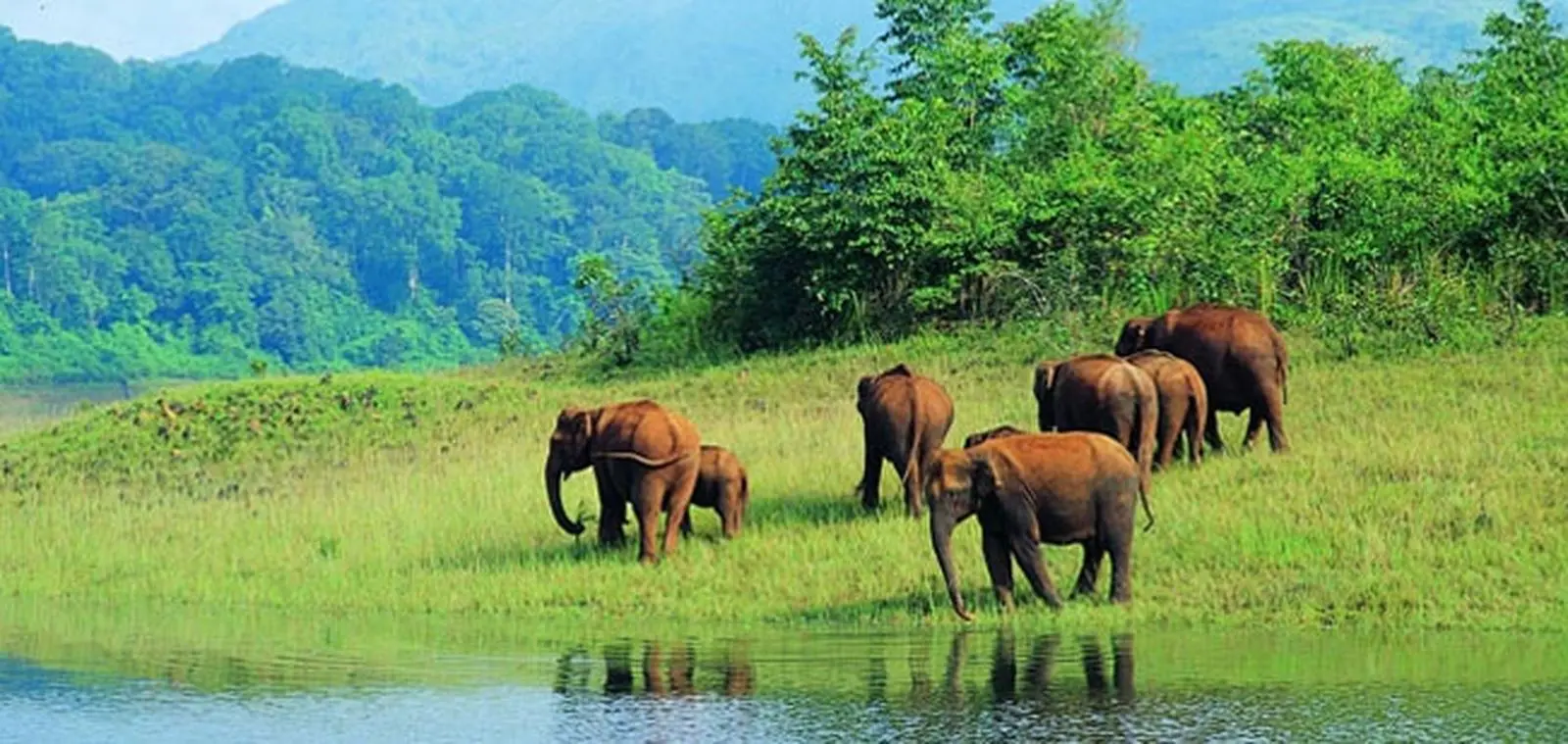 periyar-nationalpark-kerala-indien