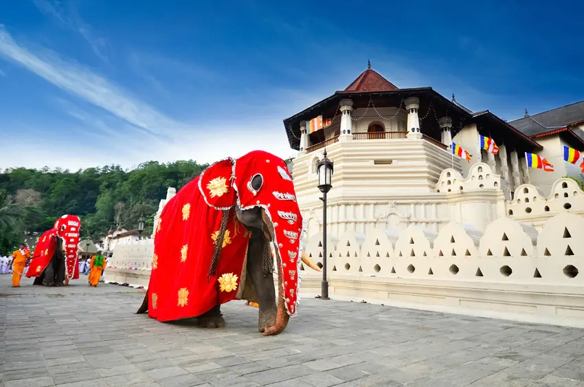 kandy-zahntempel