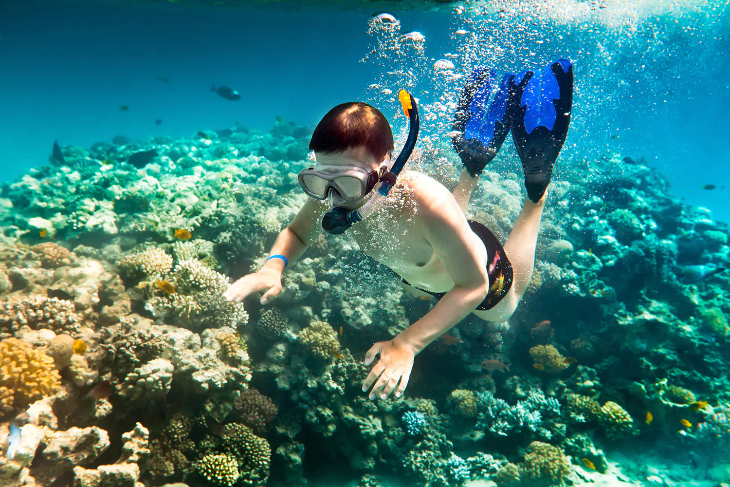 Bali-Menjangan-Island