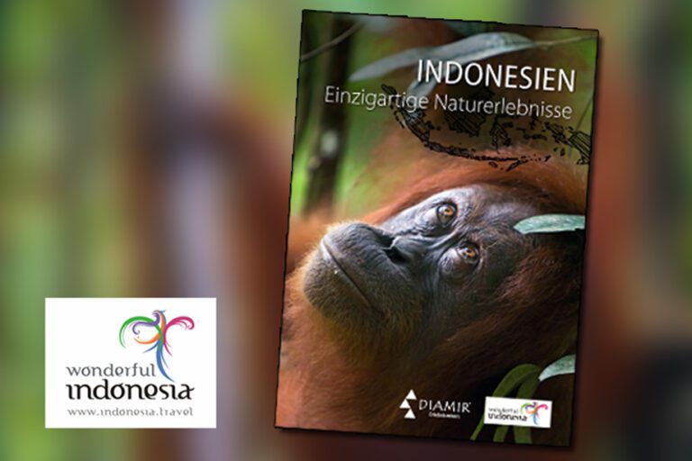 DIAMIR-eBook-Indonesien