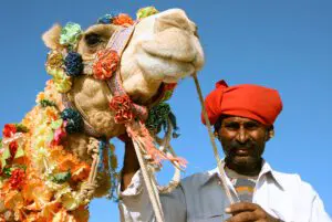 Titelbild-Kopf-von-einem-Kamel-Wuestensafari-rajasthan-India