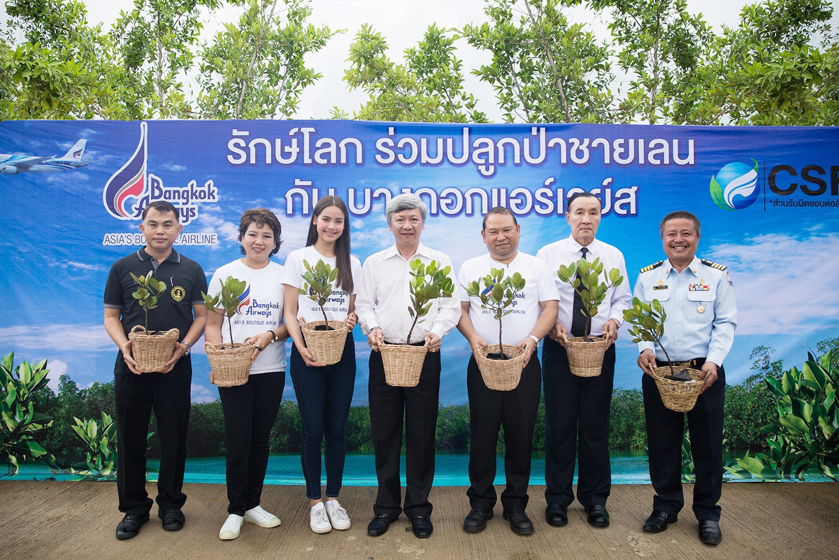 BangkokAirways-tree-2