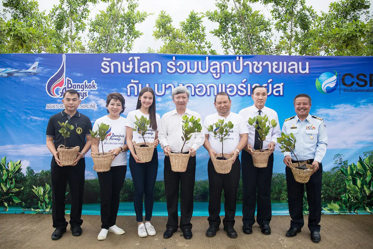 BangkokAirways-tree-2
