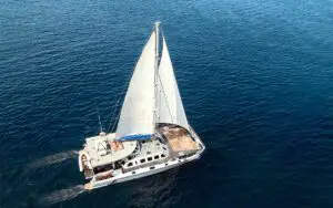 Anzeigebild-Katamaran-SailSensations