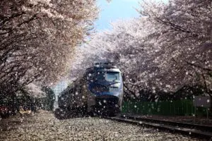 Gyeonghwa-Station Anzeigebild