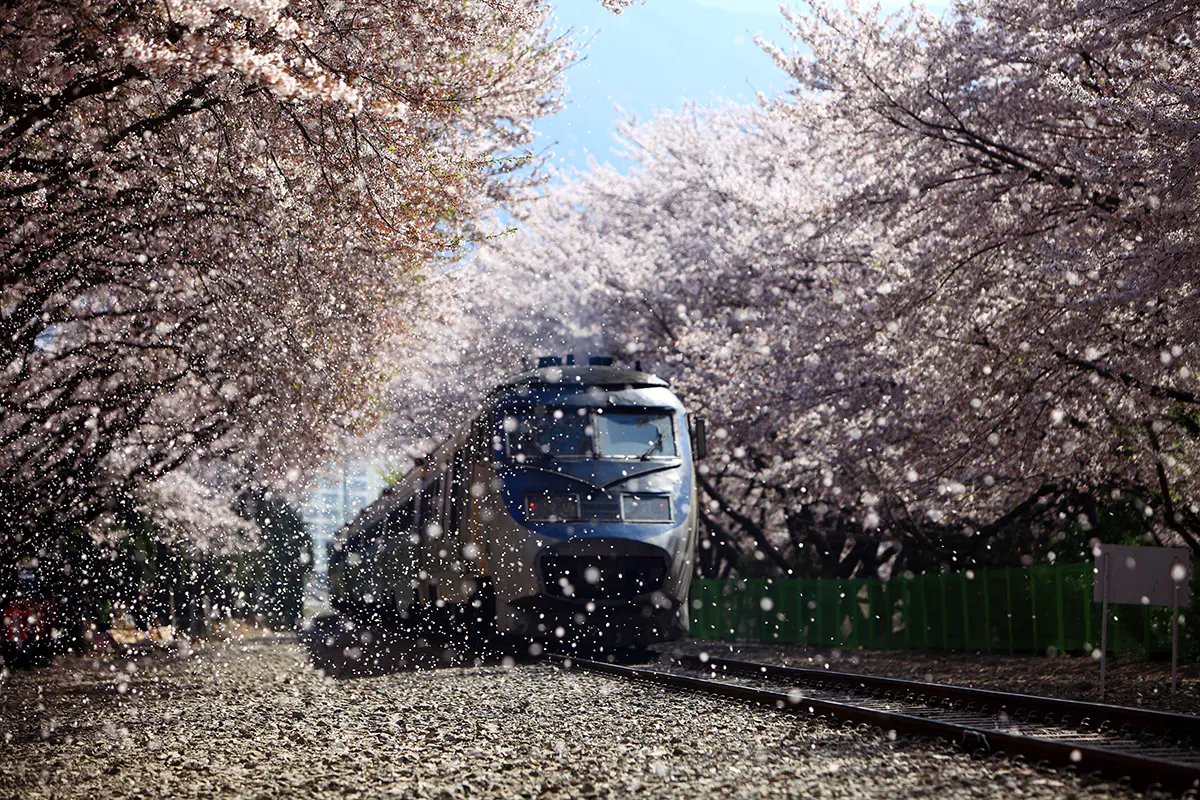 Gyeonghwa-Station Anzeigebild