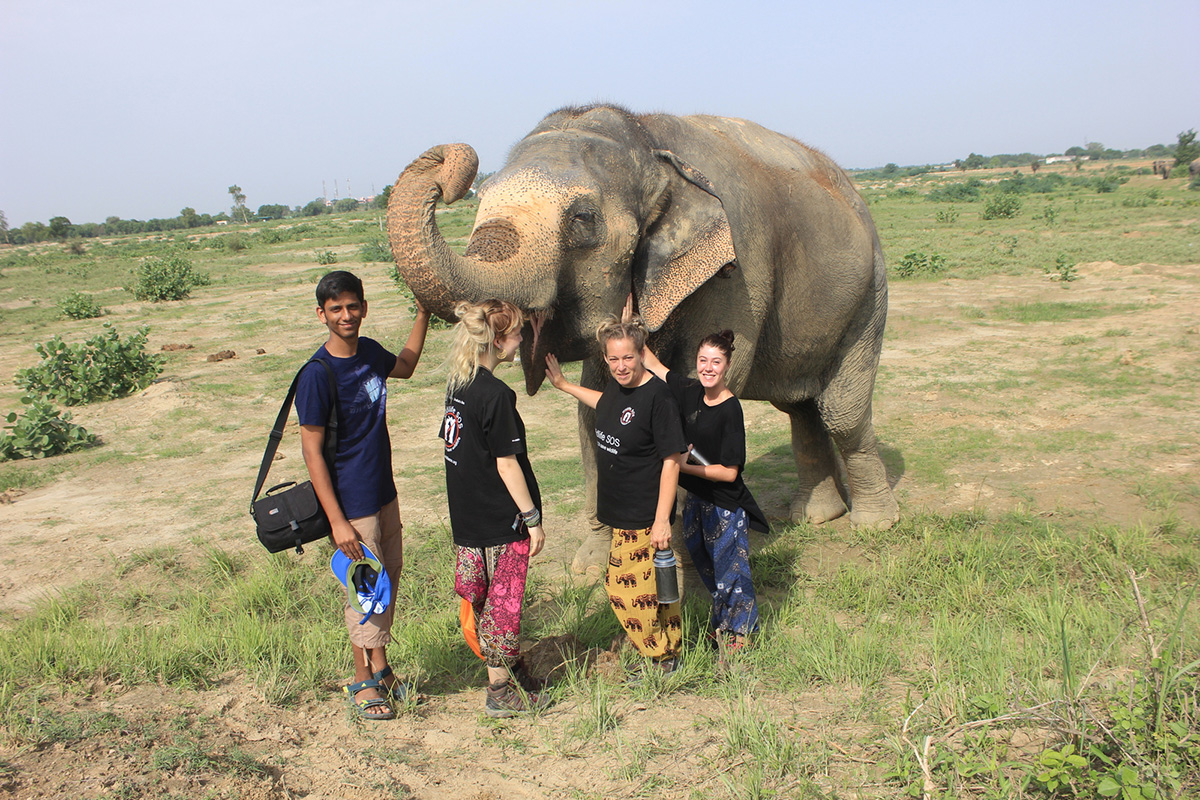 elephant-SOS-Agra