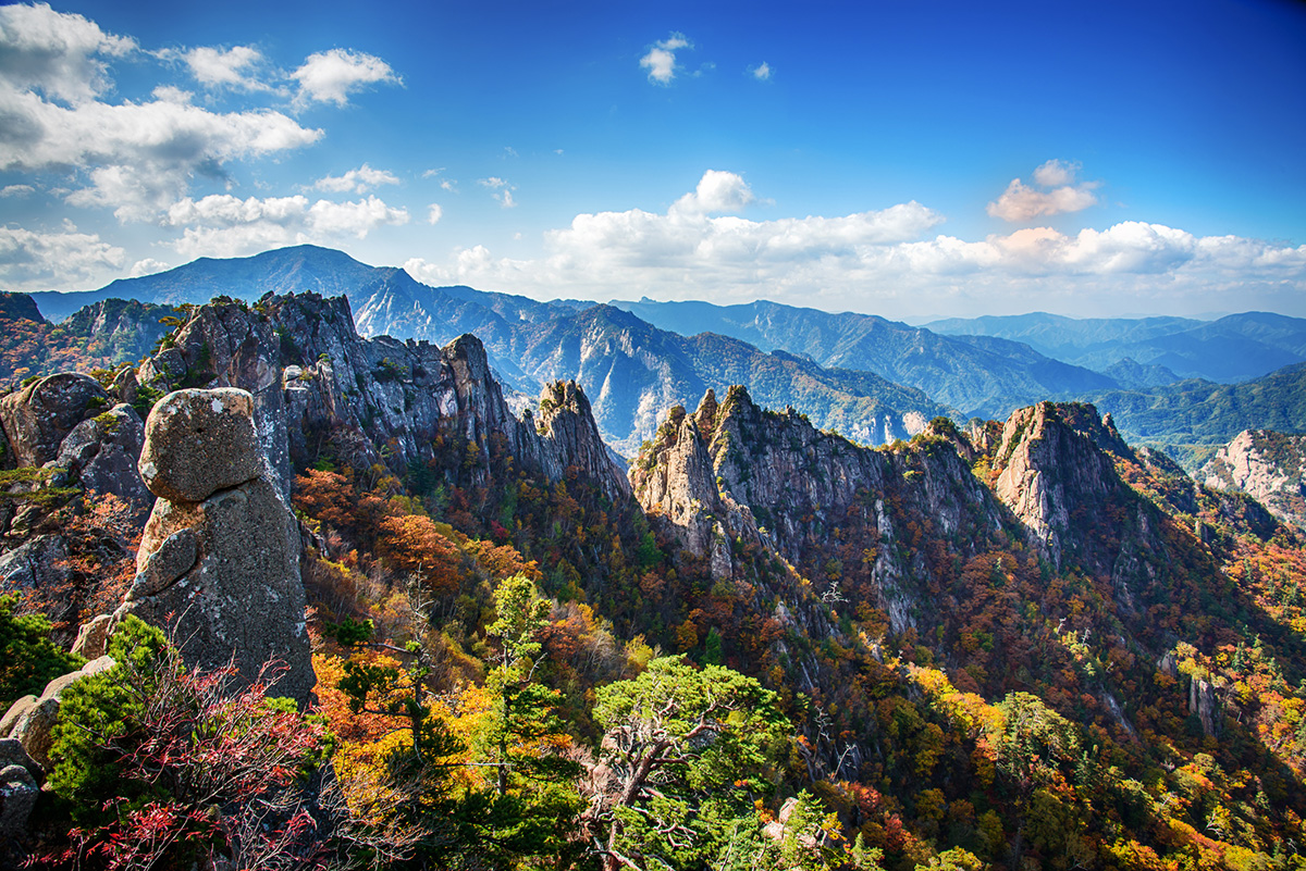 Autumn-of-Yongajangseong-Ridge