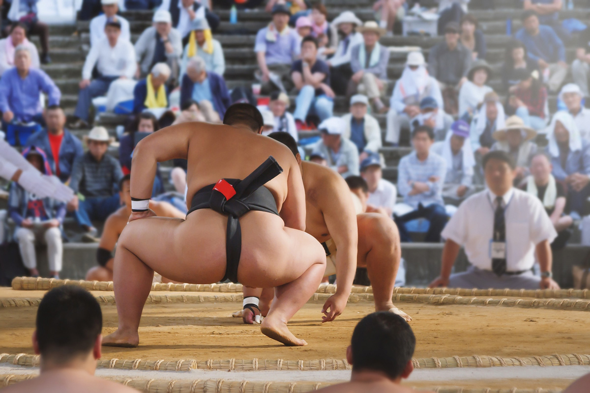 Sumo-Ringer