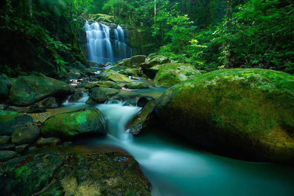 Borneo-2