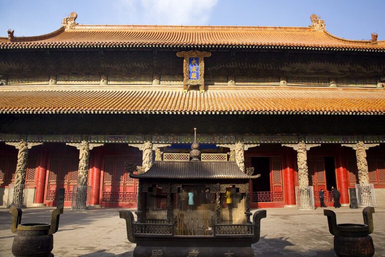 Chinas-Vermachtnis--Titelbild