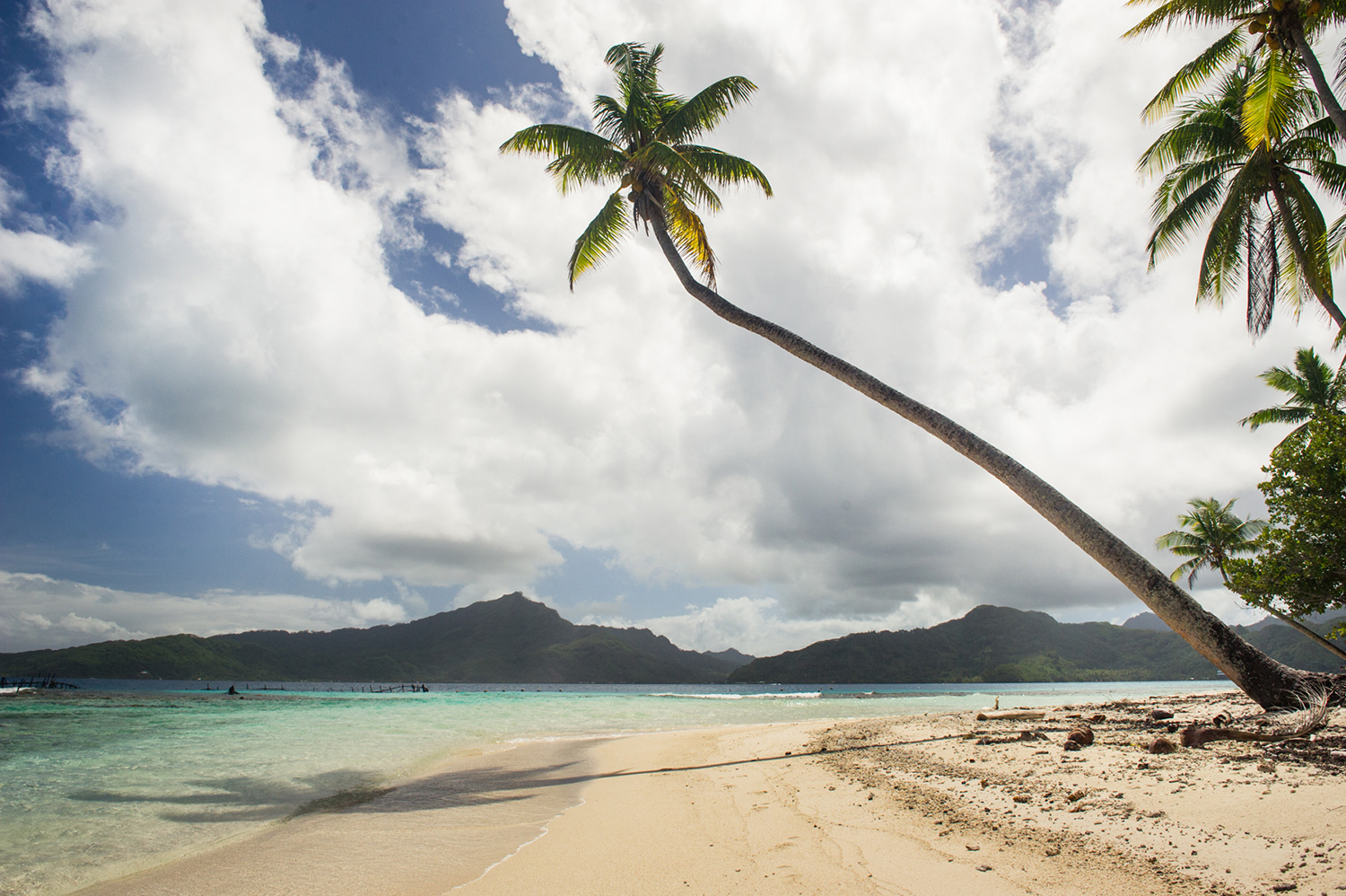 strand-ponant