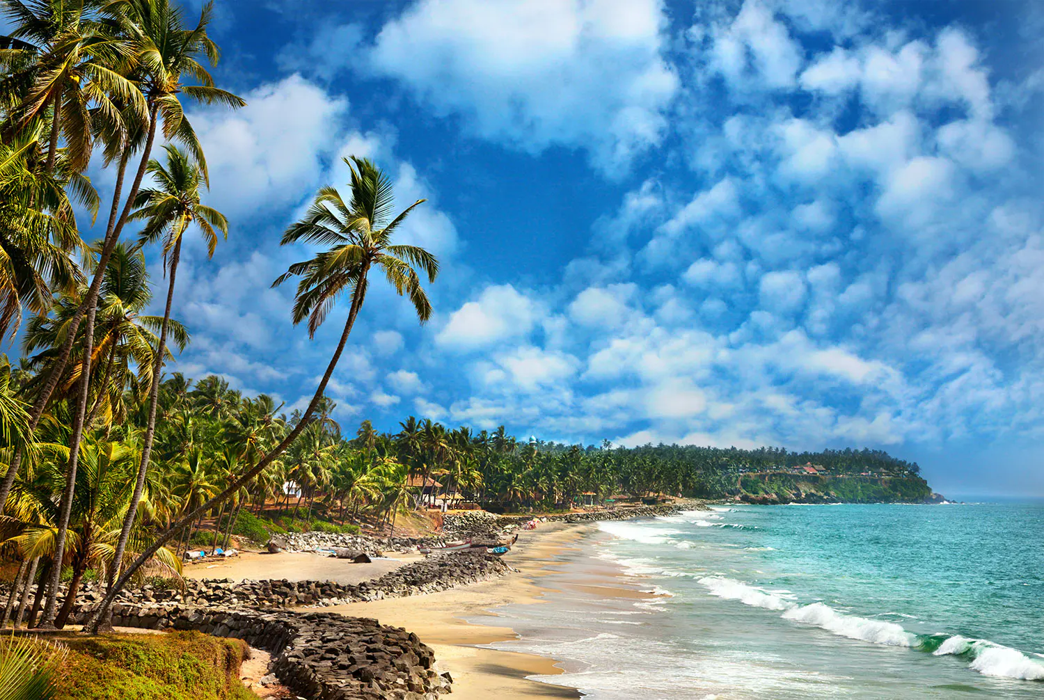 Odayam-beach-near-ocean-and-palm-trees-in-Varkala-Kerala-India