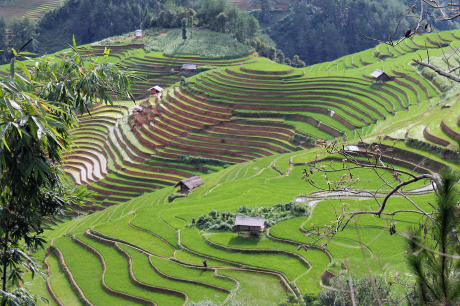 vietnam-5