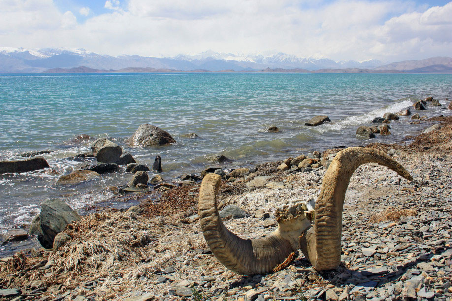 diamir-pamir-highway-1