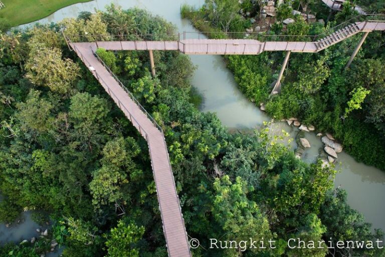 Forest Station bangkok